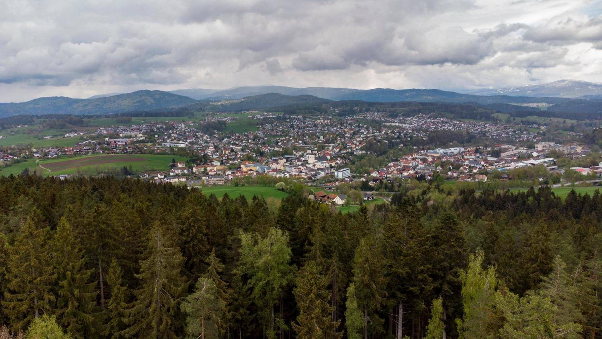 Bayerwaldchalet Реген Екстериор снимка